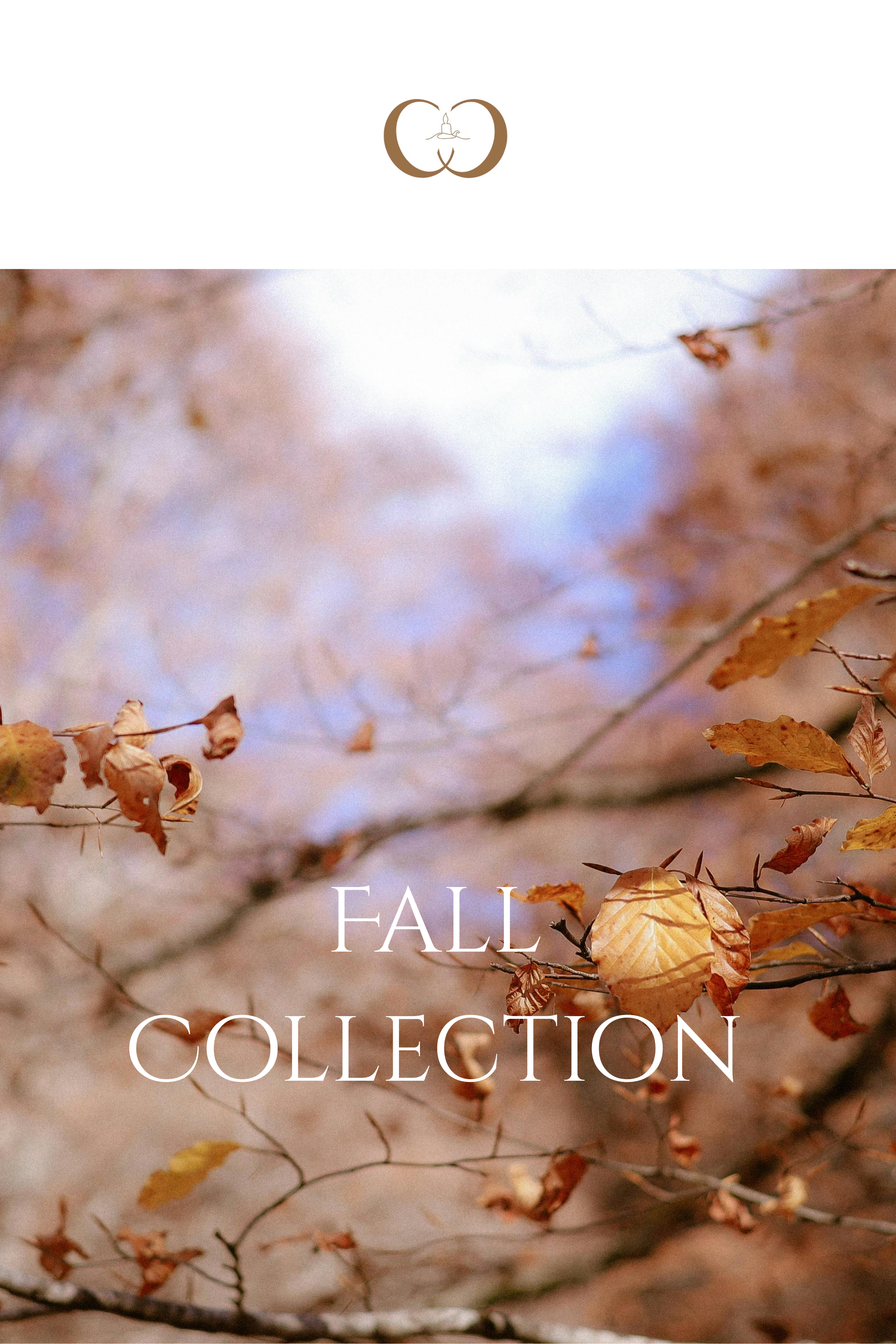 Fall Collection